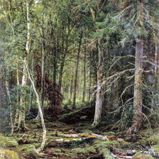 Схема вышивки «в лесной глуши»