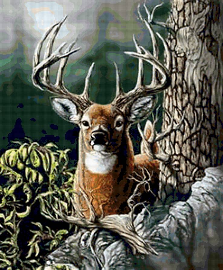 Лесной олень - животные, олень, природа, лес, пейзаж - предпросмотр