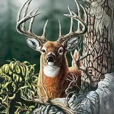 Схема вышивки «Лесной олень»