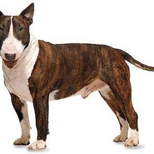 Схема вышивки «№216110»