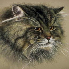 Схема вышивки «Обиженный кот»