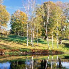 Схема вышивки «пейзаж»