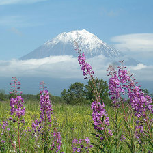 Схема вышивки «Камчатка»