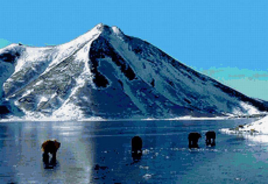 Вулкан - камчатка, медведь, вулкан - предпросмотр