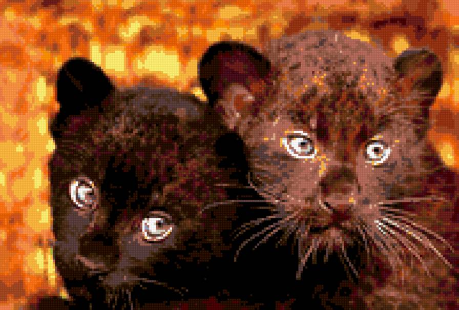 Ягуарчики черные - ягуар, животные, малыши - предпросмотр
