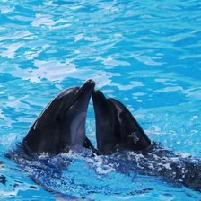 Схема вышивки «Дельфины»