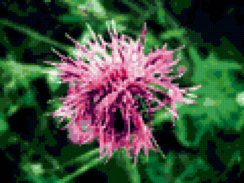 Цветок - цветок, природа - предпросмотр