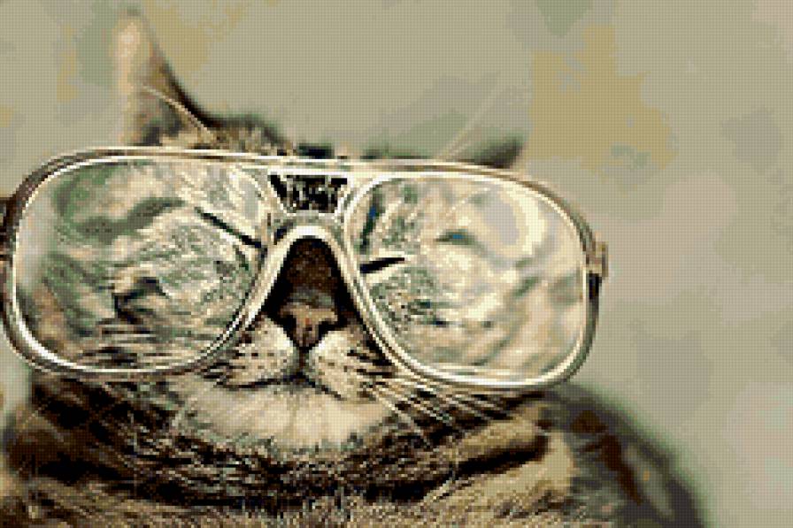 Кот в очках - очки, кот - предпросмотр