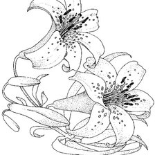 Схема вышивки «черно-белое»