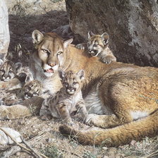 Благородное семейство.