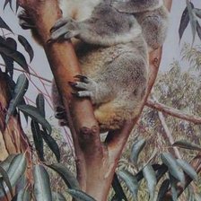 Схема вышивки «Коала.»