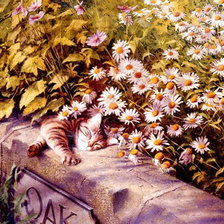 Схема вышивки «Полуденный сон»