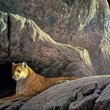 Схема вышивки «Горный лев отдыхает.»