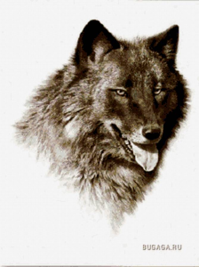 картина - волки, семья, животные, природа - предпросмотр