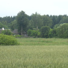 Схема вышивки «Shveiliany»