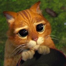 Схема вышивки «Кот в сапогах»