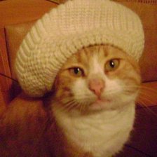 Схема вышивки «Кот Василий»