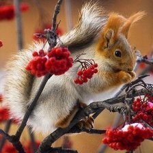 Схема вышивки «№216580»