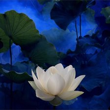 Схема вышивки «№216590»