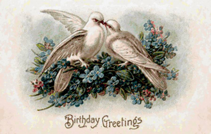 Голубки - птицы, цветы, незабудки - предпросмотр