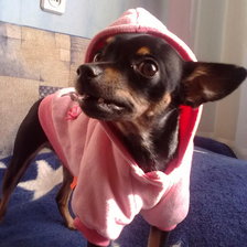 Схема вышивки «тойчик»