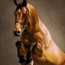 Схема вышивки «лошадка»