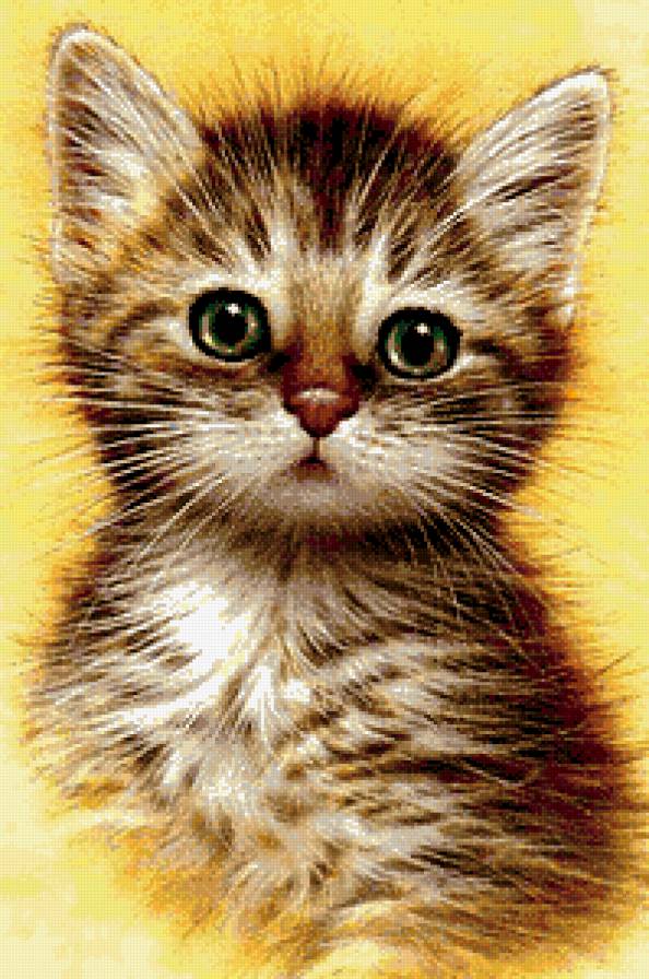 Симпатяшка - животные, котенок, портрет - предпросмотр