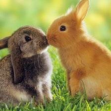 Схема вышивки «кролики»