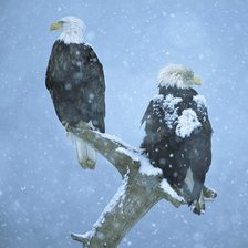 Схема вышивки «Зимовка»
