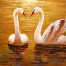 Пара лебедей.