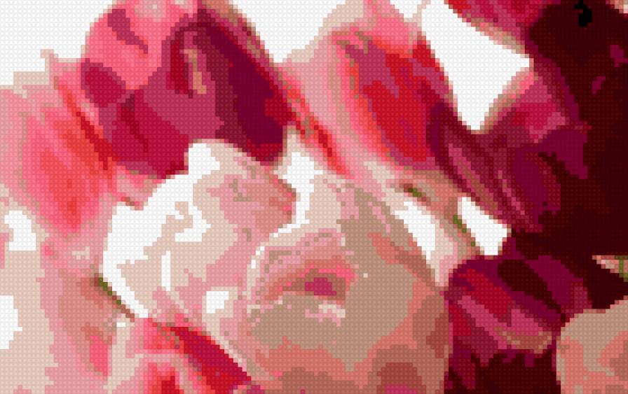 Цветы - розовый, сиреневый, цветы, тюльпаны - предпросмотр