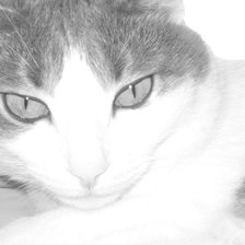 Схема вышивки «Кусюня»