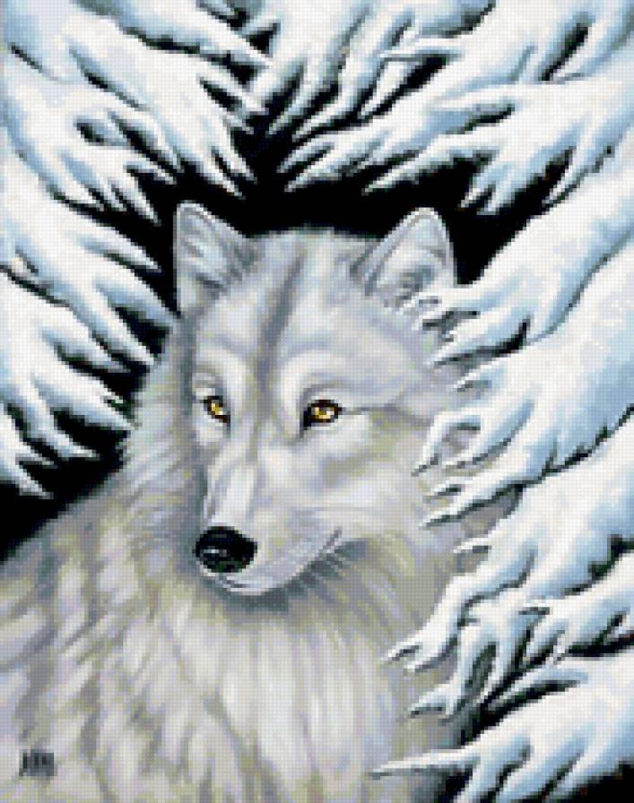 белый волк - предпросмотр