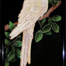 Схема вышивки «белый ара»