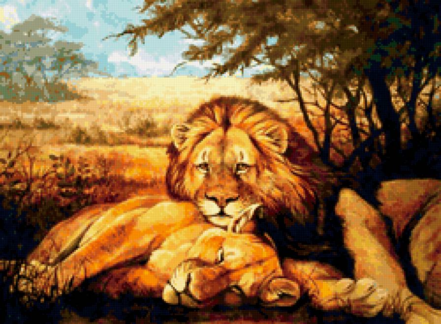 пара львов - предпросмотр