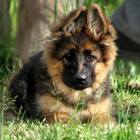 Схема вышивки «милый малыш»