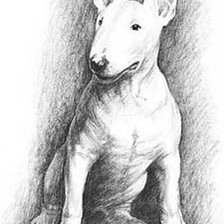 Схема вышивки «булька»