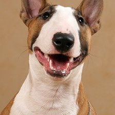 Схема вышивки «улыбка»