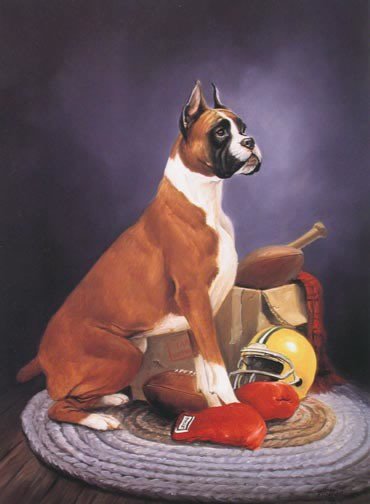 боксёр - оригинал