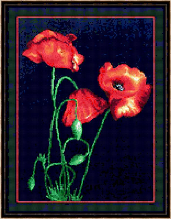 Алые маки - предпросмотр