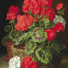 Схема вышивки «№217668»