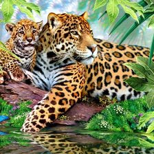 Схема вышивки «леопарды»