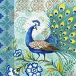 Схема вышивки «павлин»