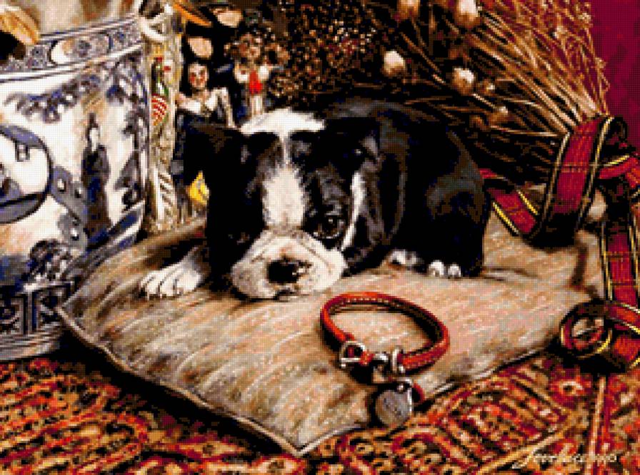 Малышка Одетт. - щенки, собаки, французский бульдог, животные - предпросмотр