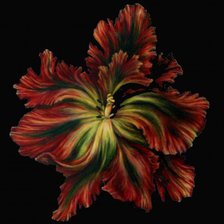 Схема вышивки «№1»