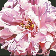 Схема вышивки «пион»