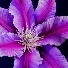 Схема вышивки «подушка»