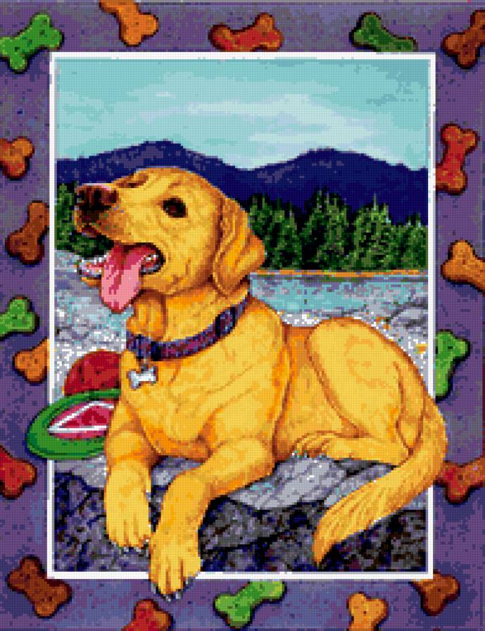 собачка - собаки, пес, песик, животные, собака - предпросмотр