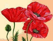 Схема вышивки «Маки»