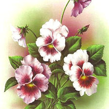 Схема вышивки «анютки»